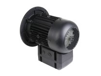 Motor Weishaupt WM-D112/140-2/3K0, MPN: 21520307010. Photo 2