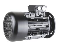 Motor Riello, MPN: 3013565