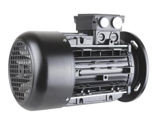 Motor Riello, MPN: 3013565