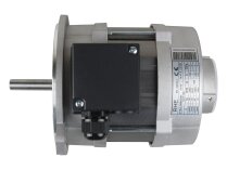Motor Riello RHT 135, MPN: 3006716. Photo 3