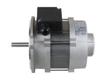 Motor Riello RHT 135, MPN: 3006716. Photo 2