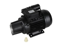 Motor Riello RL46/550, MPN: 3013829