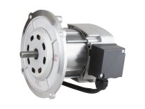 Motor Riello RH S 110, MPN: 3003773. Photo 5