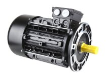 Motor Riello ET100Lb-2, MPN: 20050960