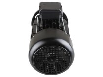 Motor Riello ET100Lb-2, MPN: 20050960. Photo 4