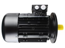 Motor Riello ET100Lb-2, MPN: 20050960. Photo 2