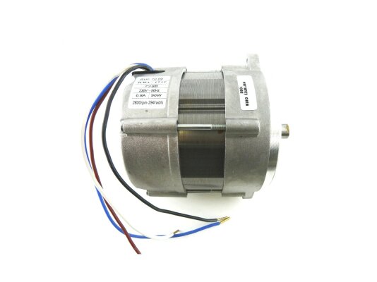 Motor Riello RH Y 110, MPN: 3013751