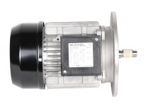Motor Riello 1-10A/6 IE3, MPN: 3014206R. Photo 2