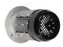 Motor Riello 1-10A/6 IE3, MPN: 3014206R. Photo 4