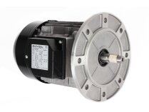 Motor Riello 1-10A/6 IE3, MPN: 3014206R