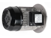 Motor Riello 1-10A/6 IE3, MPN: 3014206R. Photo 3