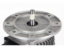 Motor Riello 1-10A/6 IE3, MPN: 3014206R. Photo 6