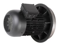 Motor Weishaupt W-D132/210-2/10K0, MPN: 25191007100. Photo 4