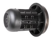 Motor Weishaupt W-D132/210-2/10K0, MPN: 25191007100. Photo 3