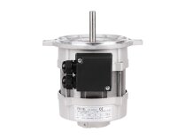 Motor Riello RH 135, MPN: 3006612. Photo 5