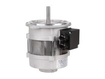 Motor Riello RH 135, MPN: 3006612. Photo 6