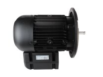 Motor Weishaupt WM-D112/140-2/3K0, MPN: 21520307370. Photo 2