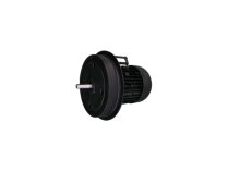 Motor Weishaupt W-D160/240-2/18K0, MPN: 21871407010
